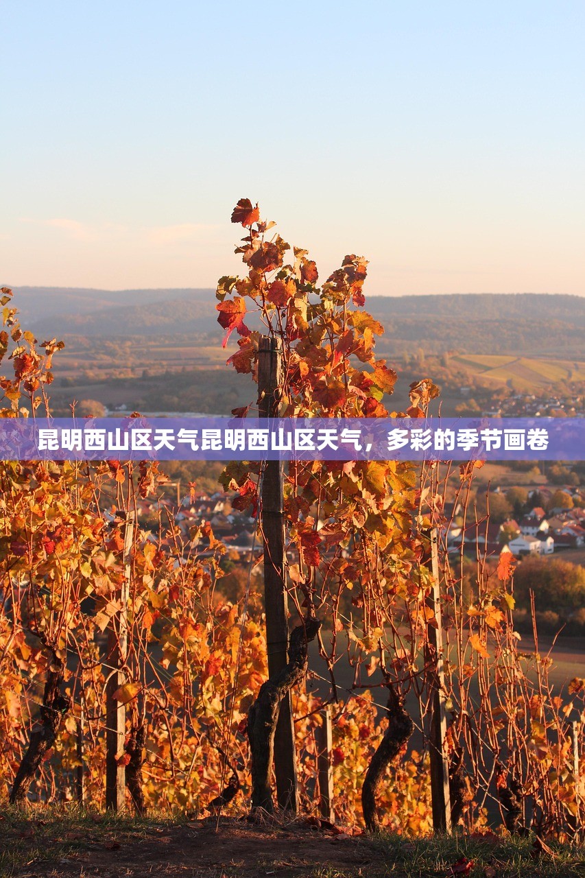 昆明西山区天气昆明西山区天气，多彩的季节画卷  第1张