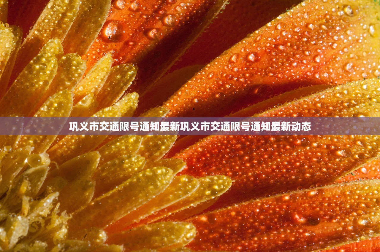 巩义市交通限号通知最新巩义市交通限号通知最新动态  第1张