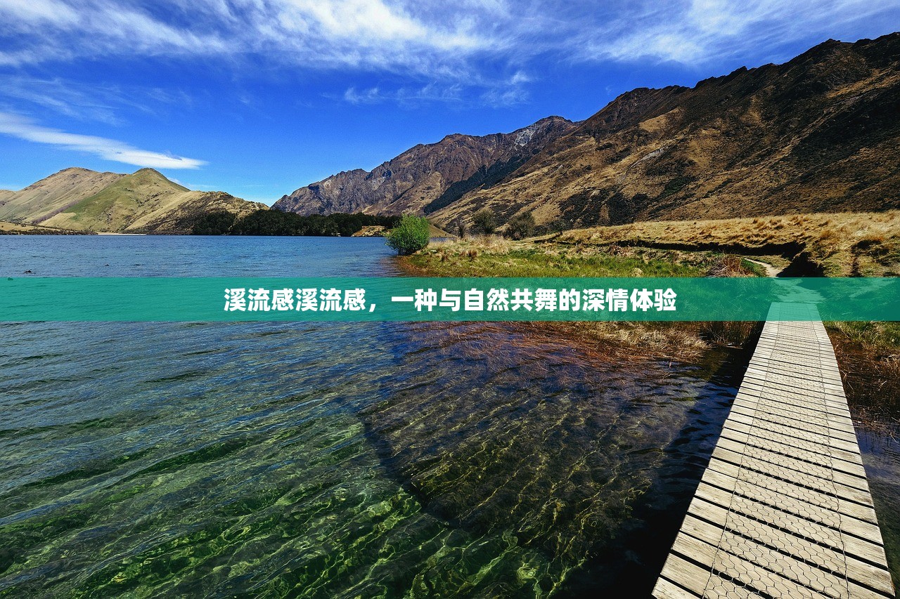 溪流感溪流感，一种与自然共舞的深情体验  第1张