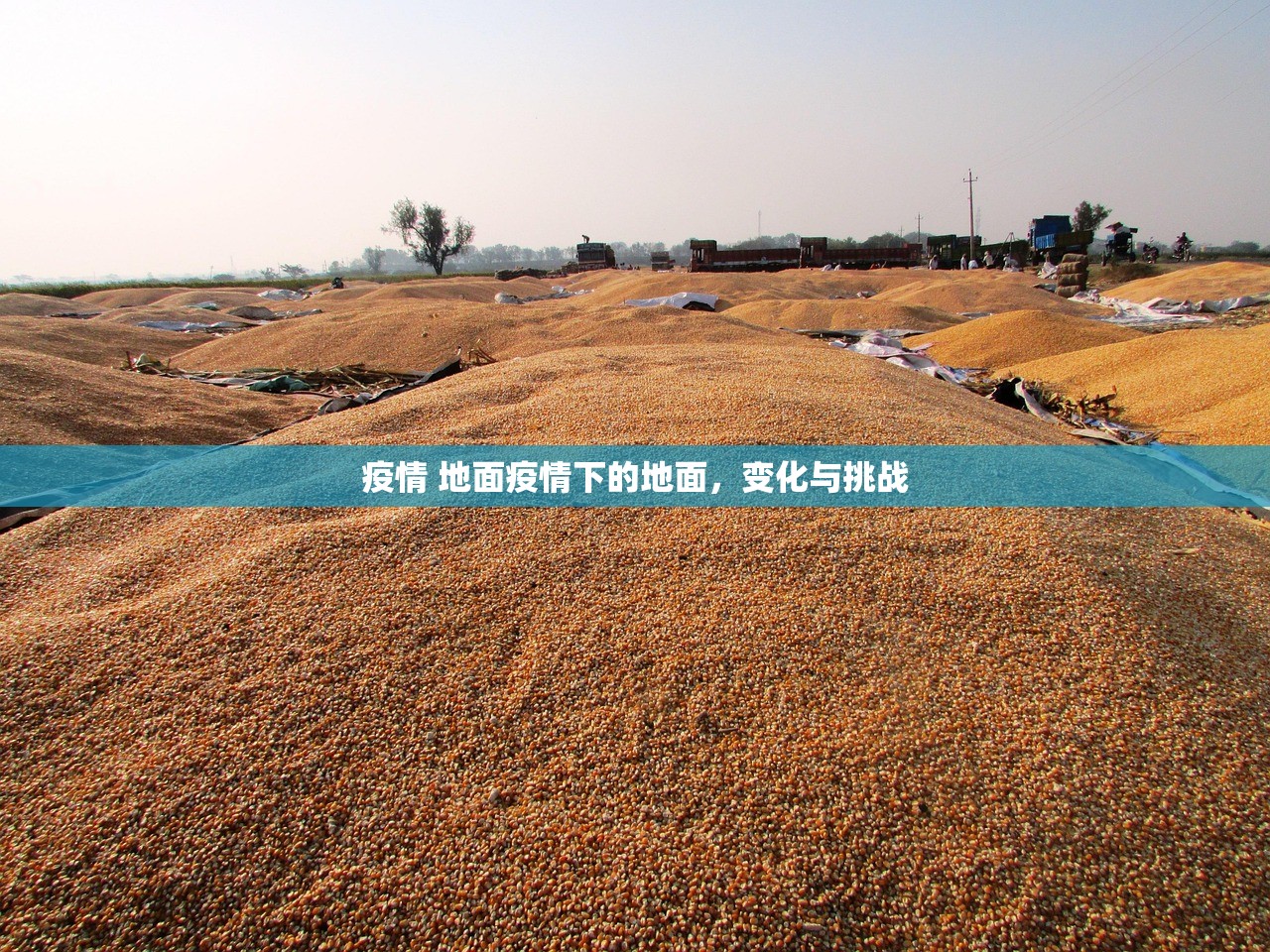 疫情 地面疫情下的地面,变化与挑战 第1张 疫情 地面疫情下的地面,变化与挑战 第1张