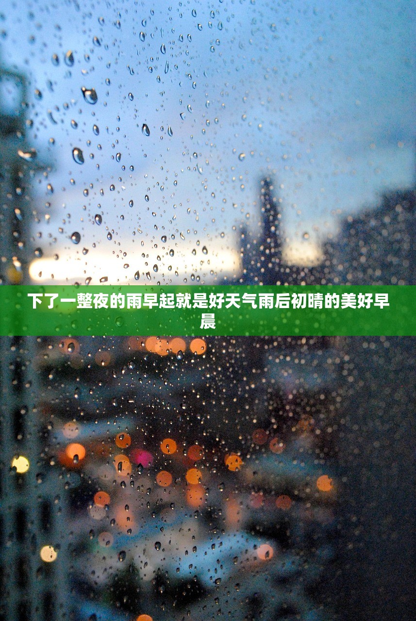 下了一整夜的雨早起就是好天气雨后初晴的美好早晨  第1张