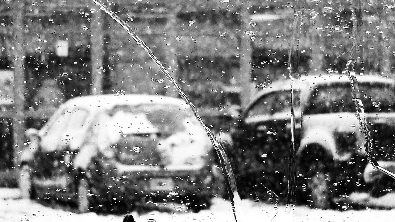 下了一整夜的雨早起就是好天气雨后初晴的美好早晨  第2张