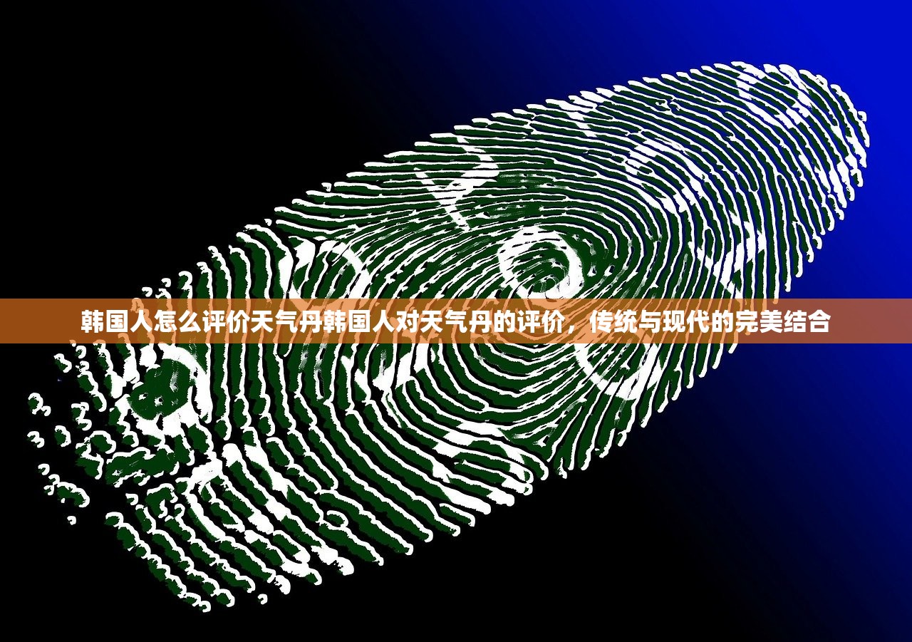 韩国人怎么评价天气丹韩国人对天气丹的评价，传统与现代的完美结合  第1张
