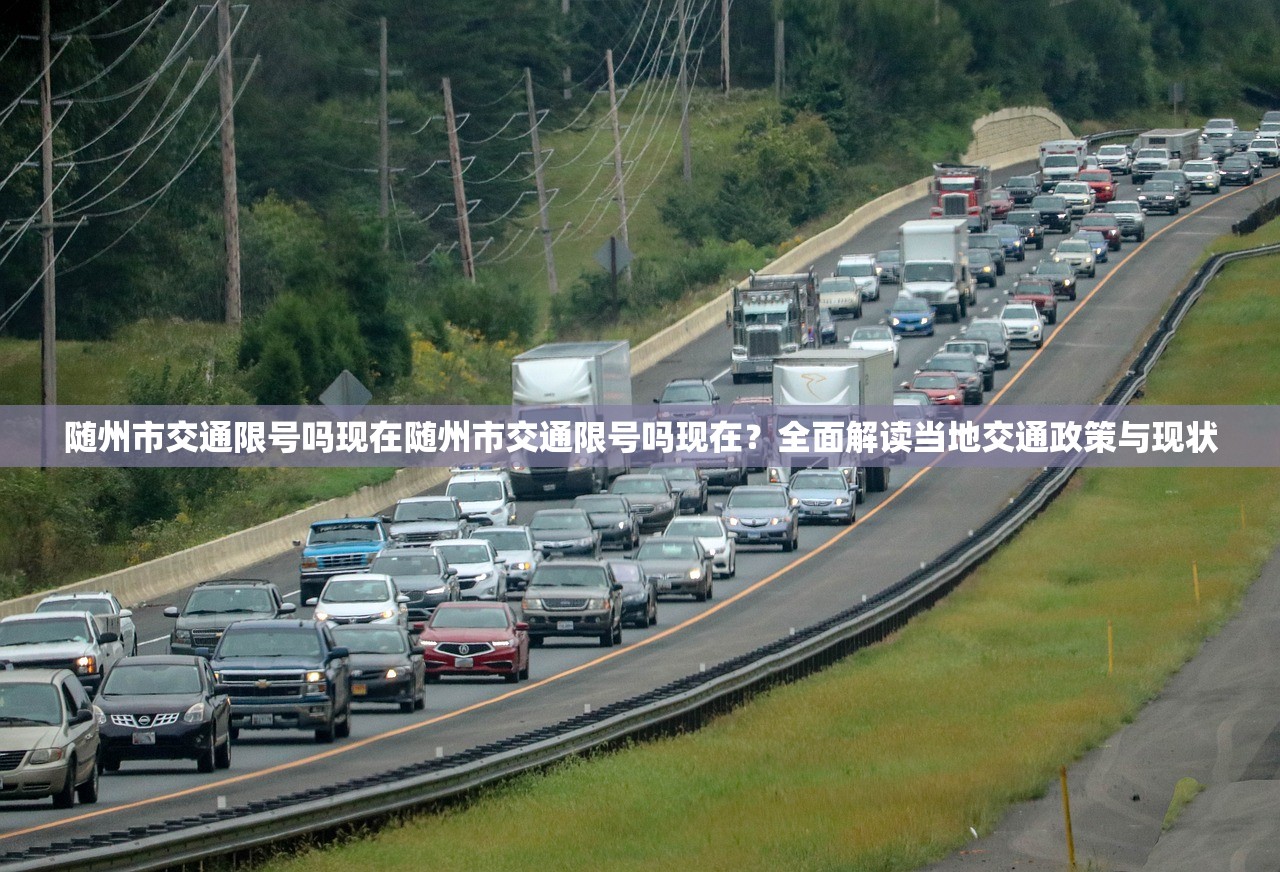 随州市交通限号吗现在随州市交通限号吗现在？全面解读当地交通政策与现状  第1张