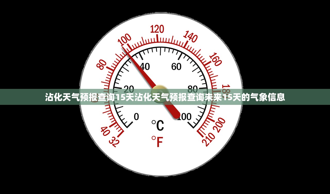 沾化天气预报查询15天沾化天气预报查询未来15天的气象信息  第1张