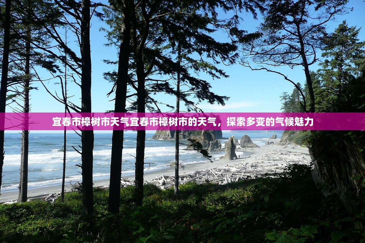 宜春市樟树市天气宜春市樟树市的天气，探索多变的气候魅力  第1张