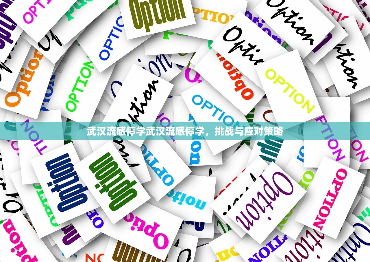 武汉流感停学武汉流感停学,挑战与应对策略 第1张 武汉流感停学武汉流感停学,挑战与应对策略 第1张