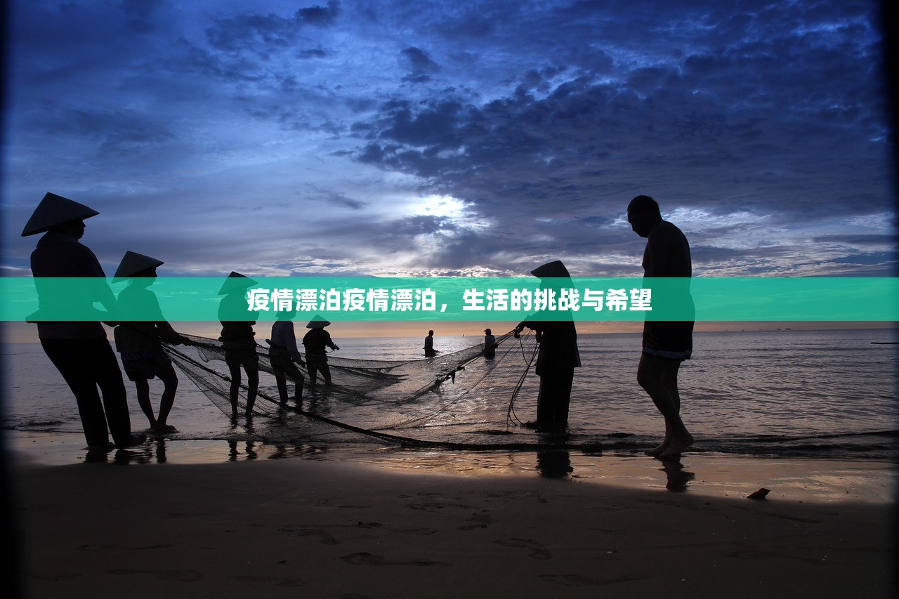 疫情漂泊疫情漂泊，生活的挑战与希望  第1张