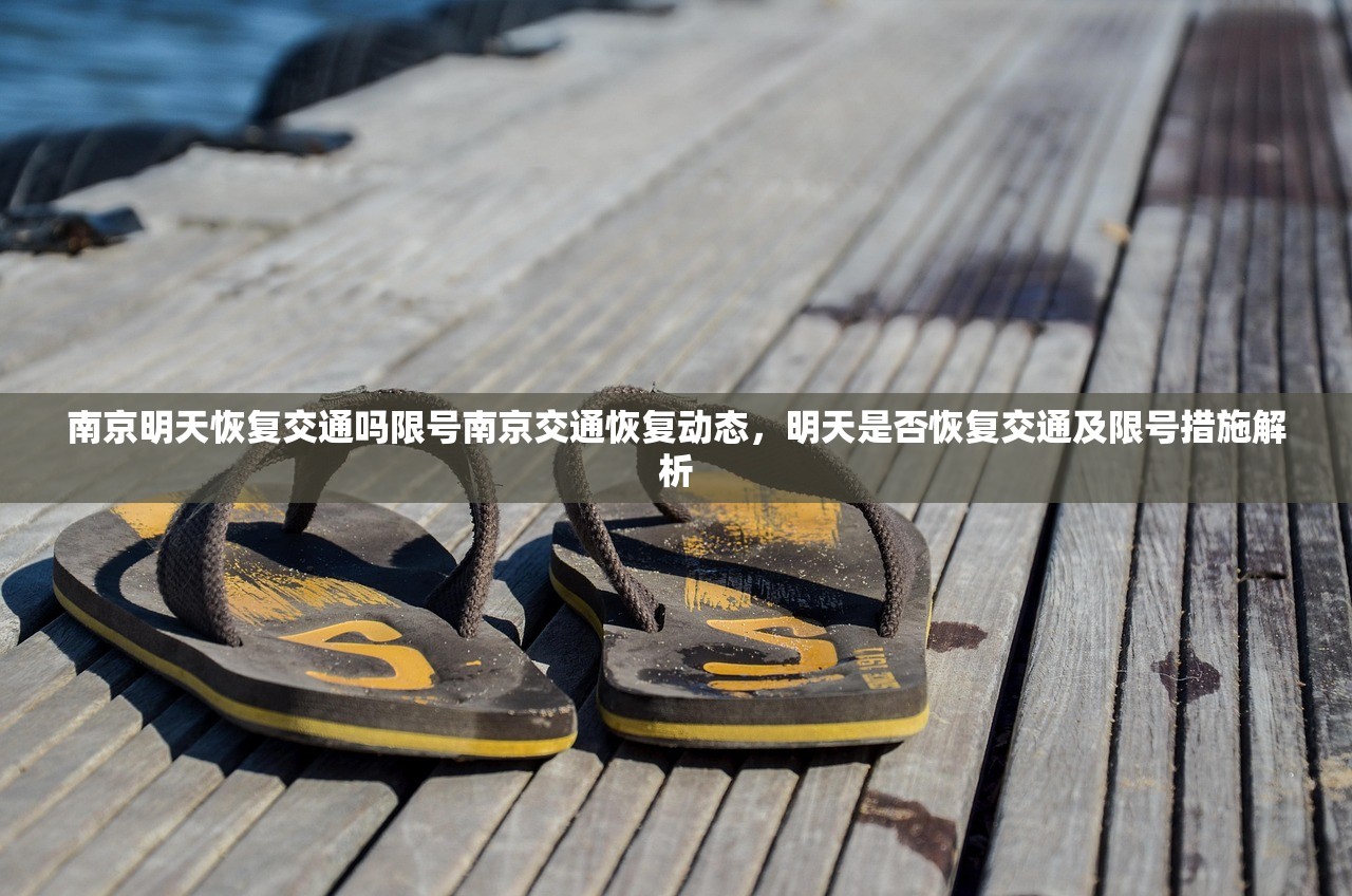 南京明天恢复交通吗限号南京交通恢复动态，明天是否恢复交通及限号措施解析  第1张