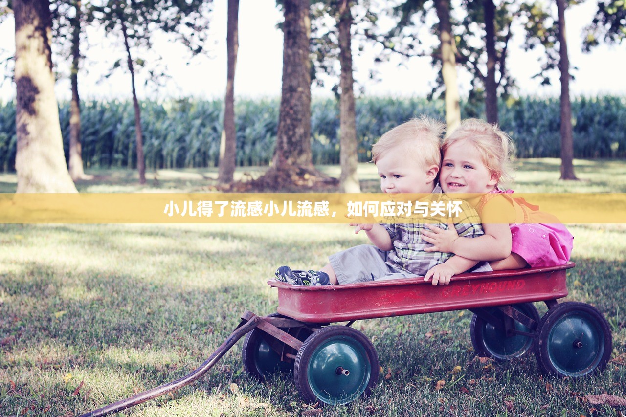 小儿得了流感小儿流感，如何应对与关怀  第1张