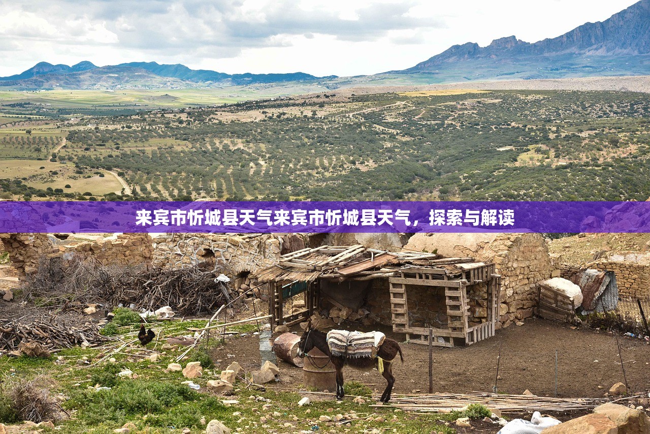 来宾市忻城县天气来宾市忻城县天气，探索与解读  第1张