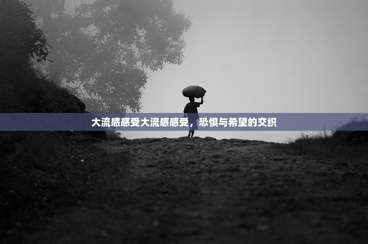 大流感感受大流感感受，恐惧与希望的交织  第1张