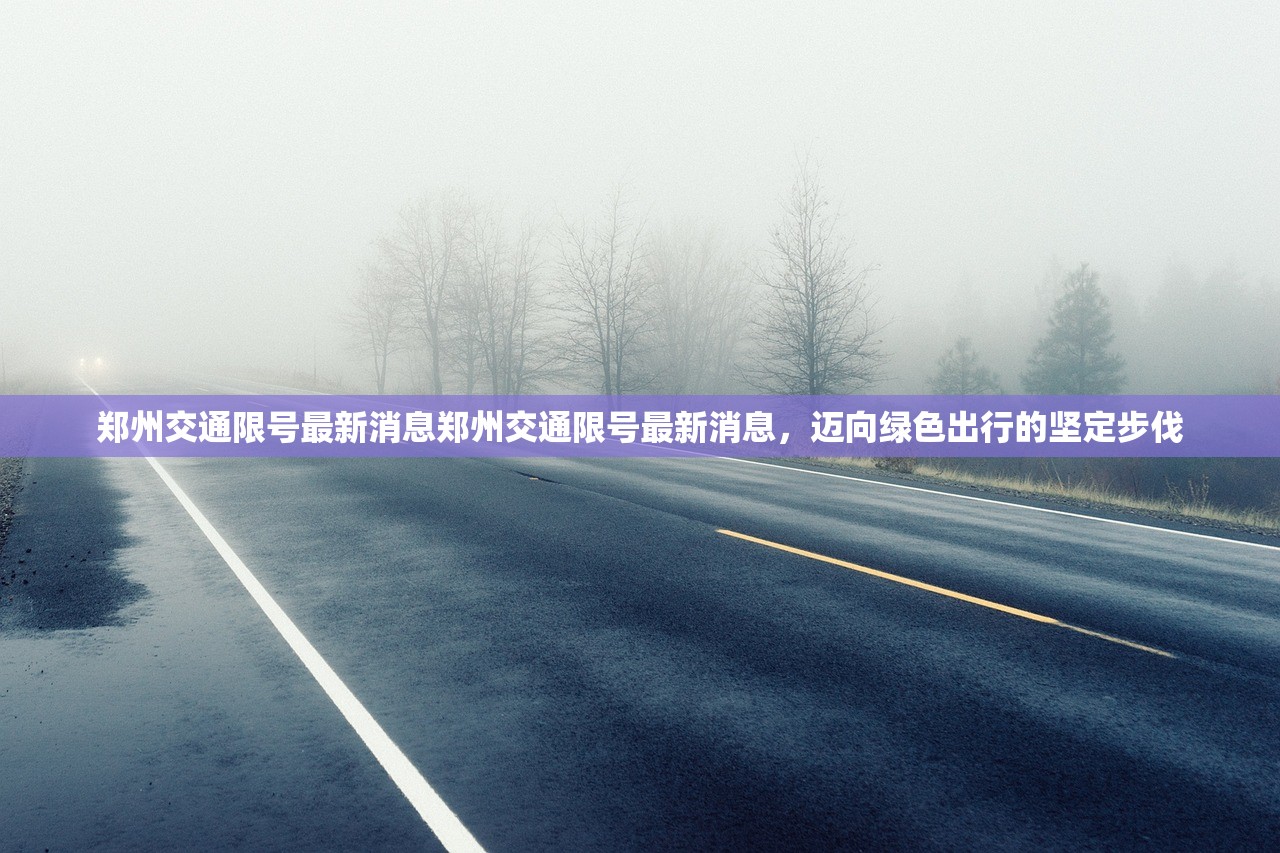 郑州交通限号最新消息郑州交通限号最新消息，迈向绿色出行的坚定步伐  第1张