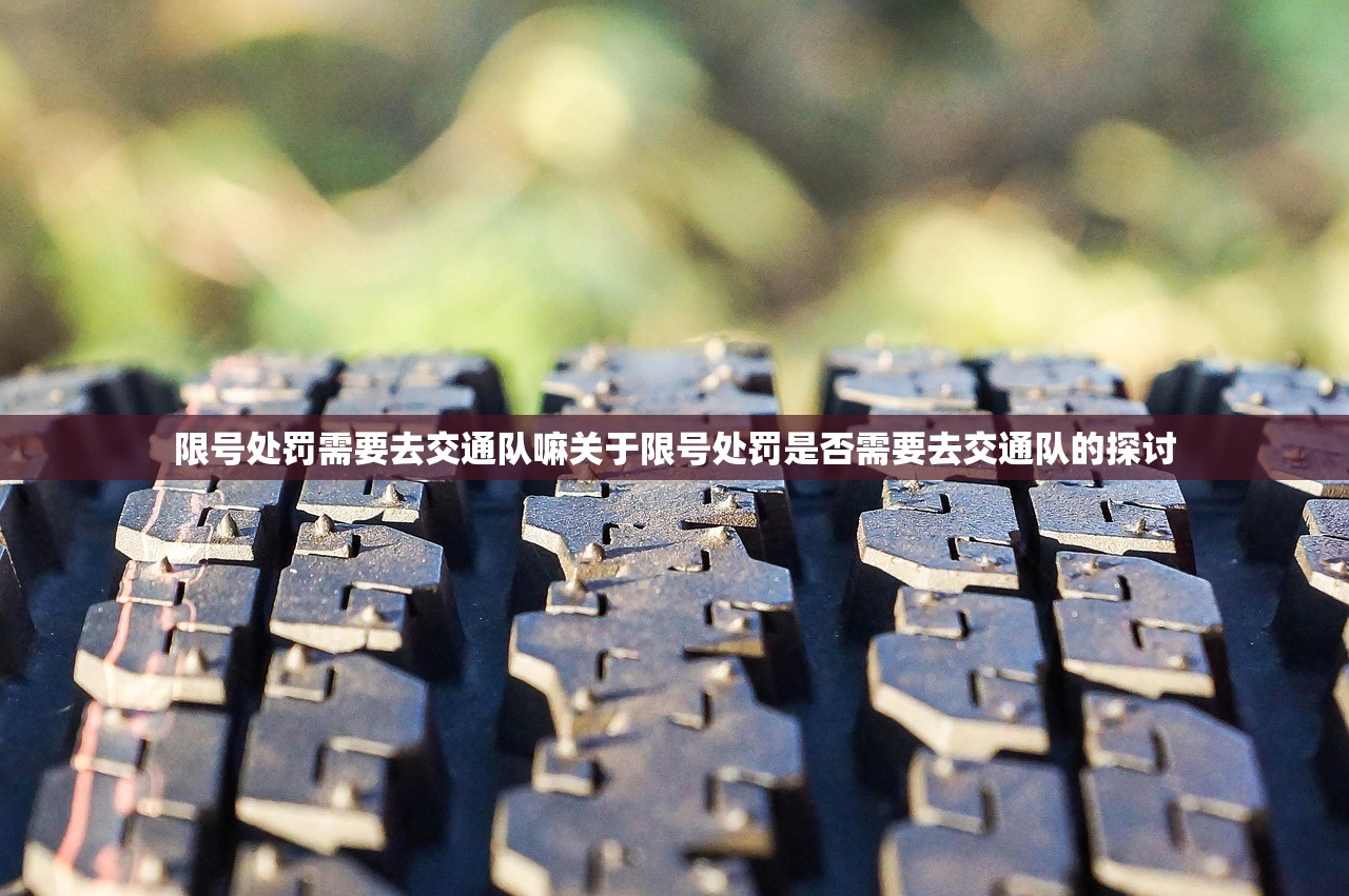 限号处罚需要去交通队嘛关于限号处罚是否需要去交通队的探讨  第1张