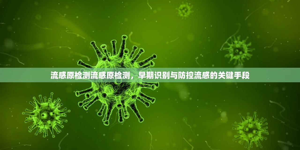 流感原检测流感原检测，早期识别与防控流感的关键手段  第1张