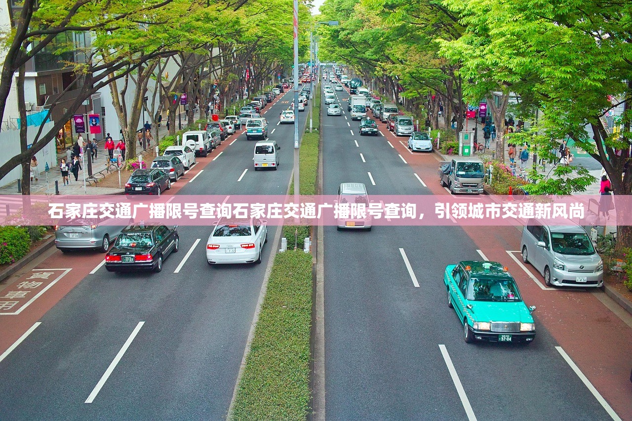 石家庄交通广播限号查询石家庄交通广播限号查询，引领城市交通新风尚  第1张