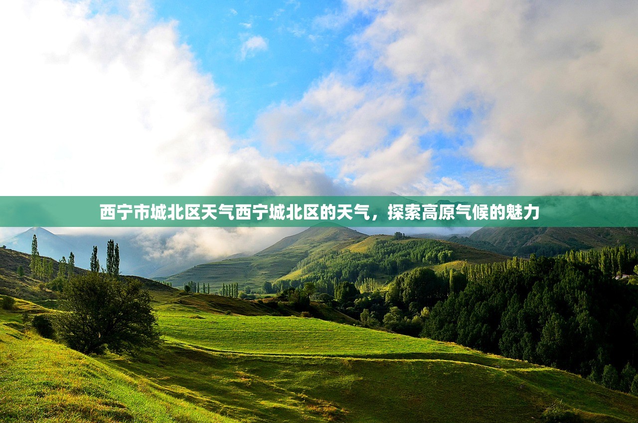 西宁市城北区天气西宁城北区的天气，探索高原气候的魅力  第1张