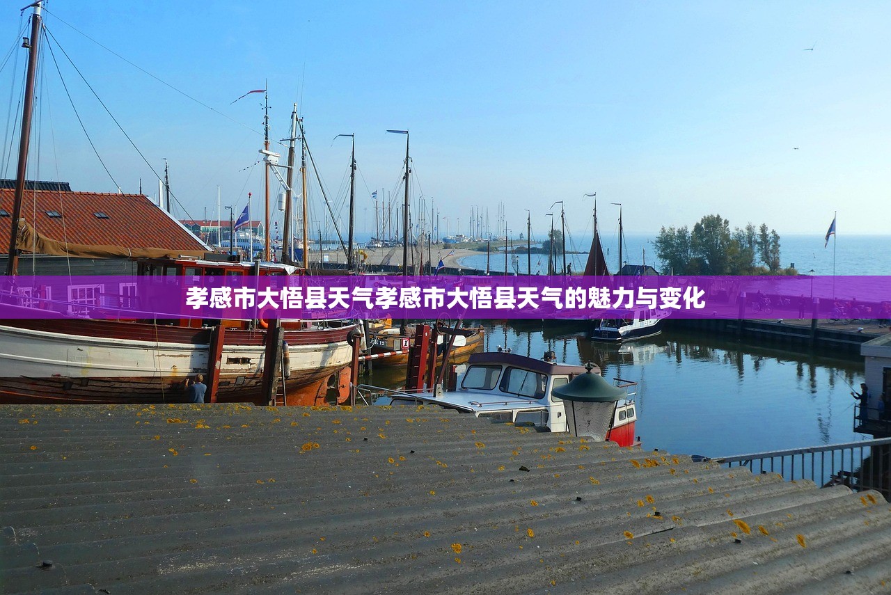 孝感市大悟县天气孝感市大悟县天气的魅力与变化  第1张