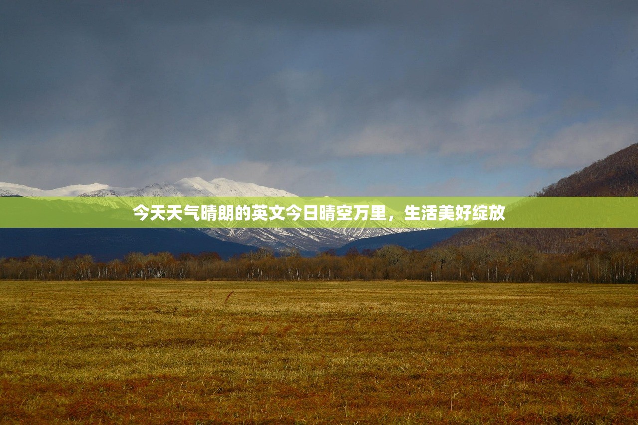 今天天气晴朗的英文今日晴空万里，生活美好绽放  第1张
