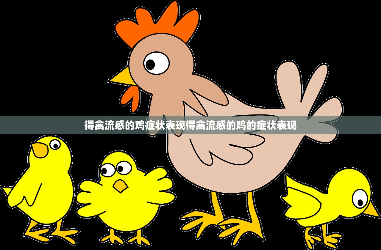 得禽流感的鸡症状表现得禽流感的鸡的症状表现 第1张 得禽流感的鸡症状表现得禽流感的鸡的症状表现 第1张