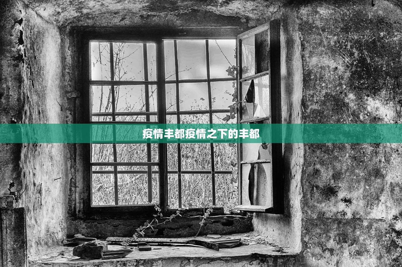 疫情丰都疫情之下的丰都  第1张