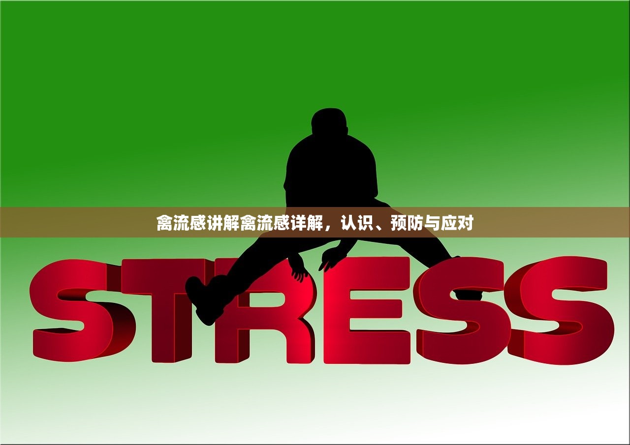 禽流感讲解禽流感详解，认识、预防与应对  第1张