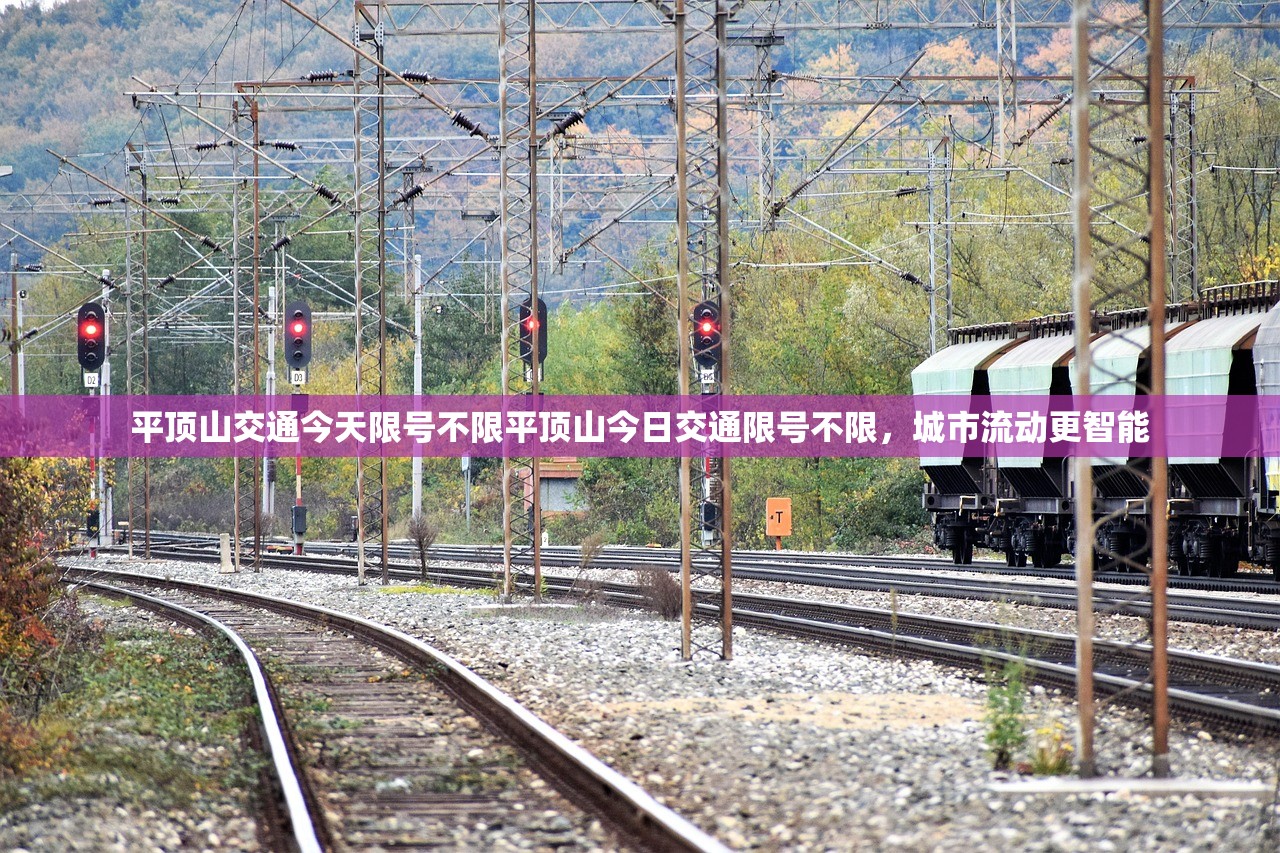 平顶山交通今天限号不限平顶山今日交通限号不限，城市流动更智能  第1张