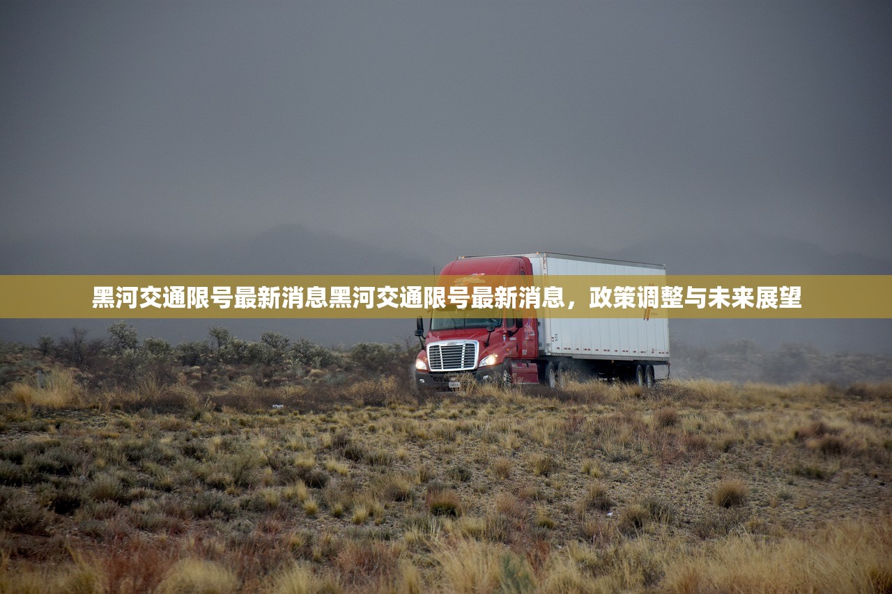 黑河交通限号最新消息黑河交通限号最新消息，政策调整与未来展望  第1张