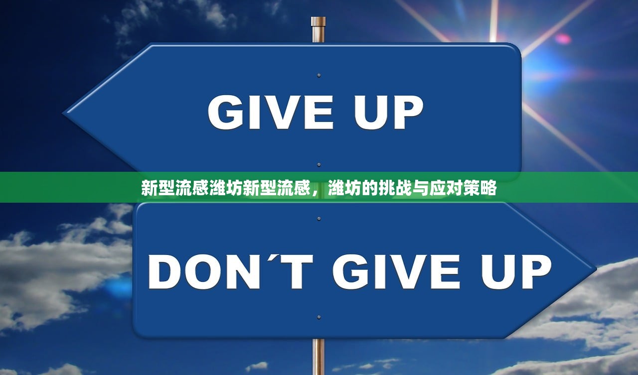 新型流感潍坊新型流感，潍坊的挑战与应对策略  第1张