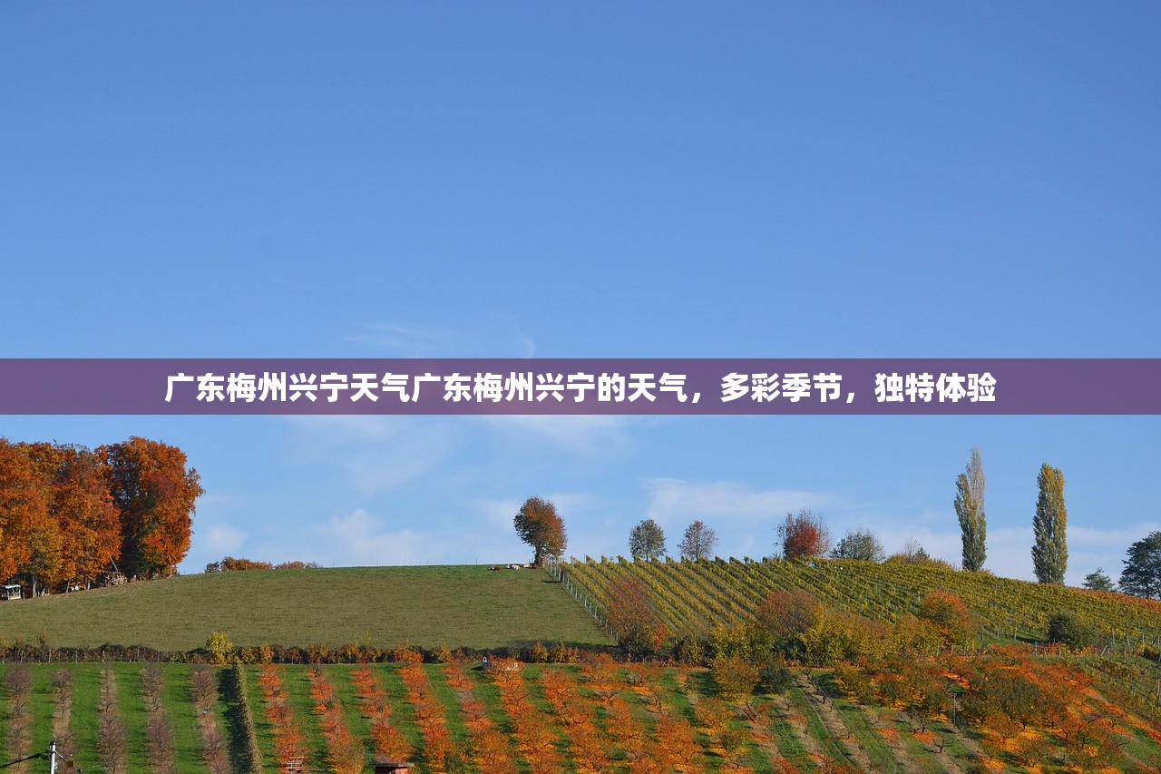 广东梅州兴宁天气广东梅州兴宁的天气，多彩季节，独特体验  第1张