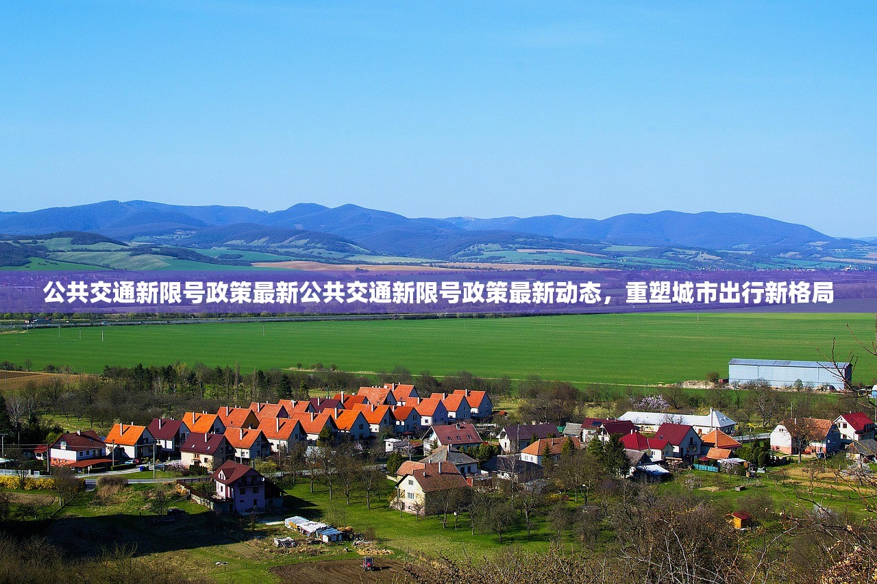 公共交通新限号政策最新公共交通新限号政策最新动态，重塑城市出行新格局  第1张