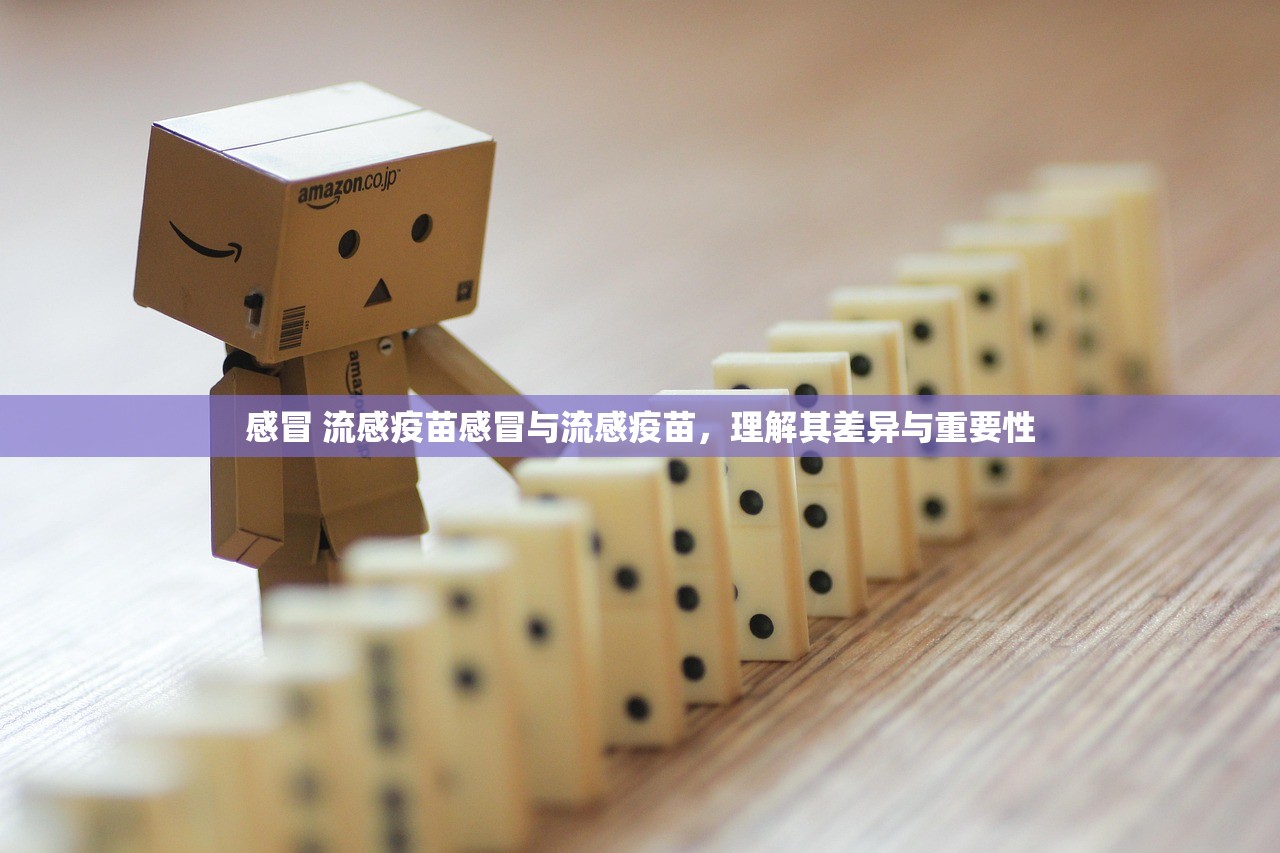 感冒 流感疫苗感冒与流感疫苗，理解其差异与重要性  第1张