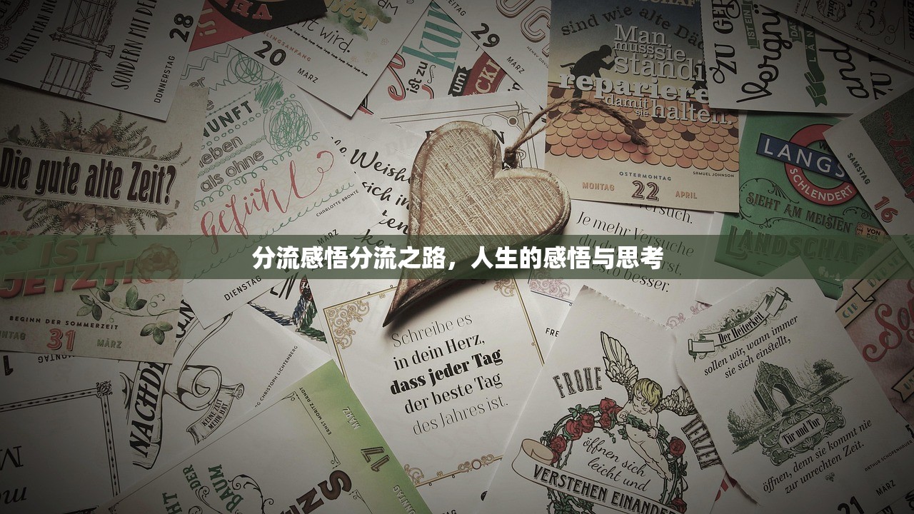 分流感悟分流之路，人生的感悟与思考  第1张