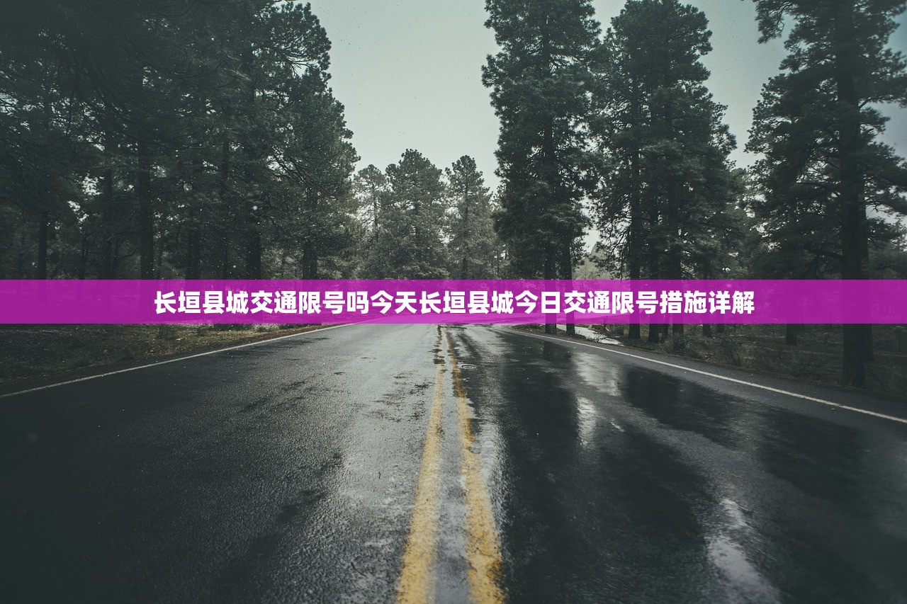 长垣县城交通限号吗今天长垣县城今日交通限号措施详解  第1张