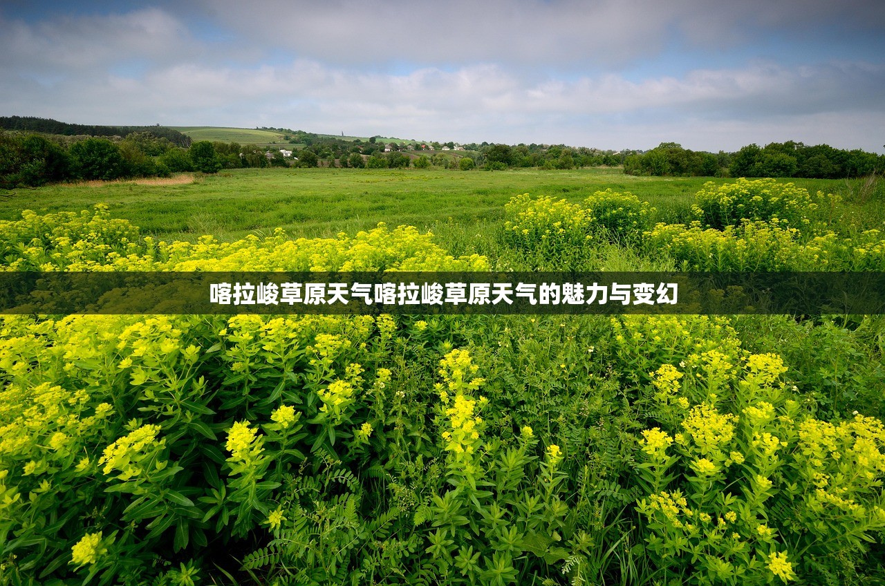 喀拉峻草原天气喀拉峻草原天气的魅力与变幻  第1张
