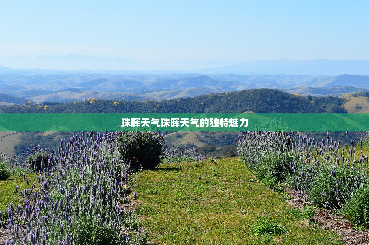 珠晖天气珠晖天气的独特魅力  第1张