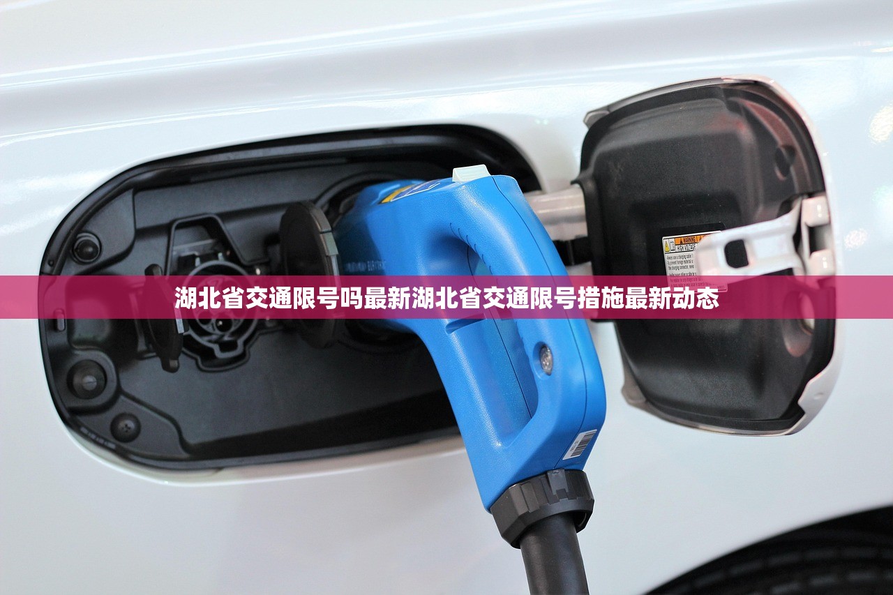 湖北省交通限号吗最新湖北省交通限号措施最新动态  第1张