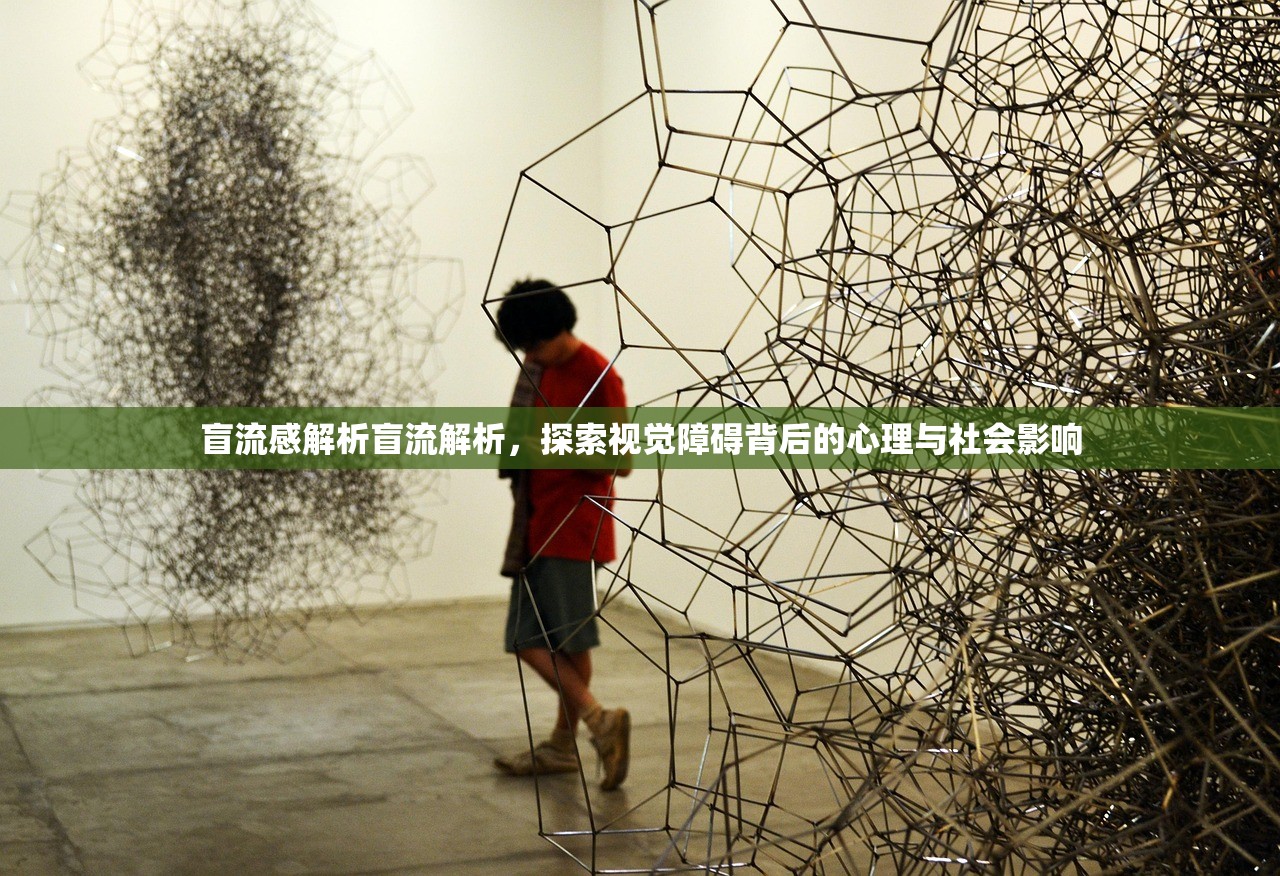 盲流感解析盲流解析,探索视觉障碍背后的心理与社会影响 第1张 盲流感解析盲流解析,探索视觉障碍背后的心理与社会影响 第1张