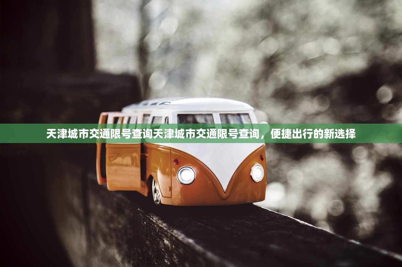 天津城市交通限号查询天津城市交通限号查询，便捷出行的新选择  第1张