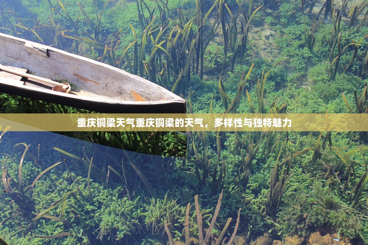 重庆铜梁天气重庆铜梁的天气，多样性与独特魅力  第1张