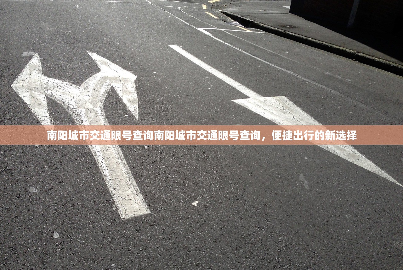 南阳城市交通限号查询南阳城市交通限号查询，便捷出行的新选择  第1张