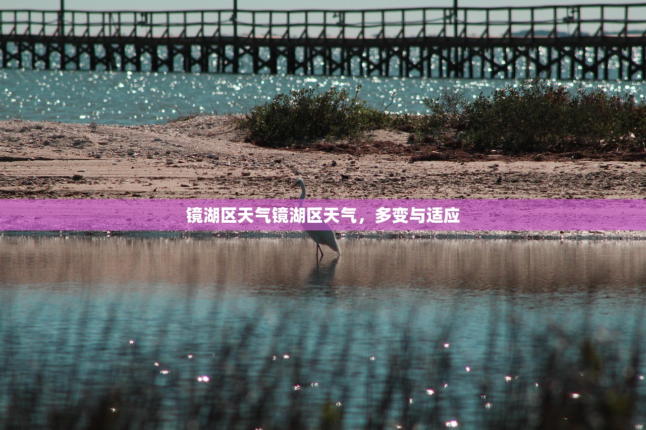 镜湖区天气镜湖区天气,多变与适应 第1张 镜湖区天气镜湖区天气,多变与适应 第1张
