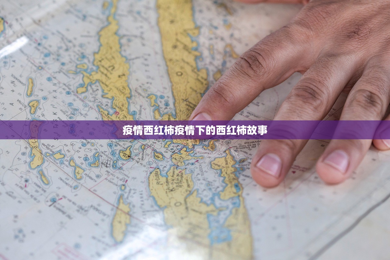 疫情西红柿疫情下的西红柿故事  第1张