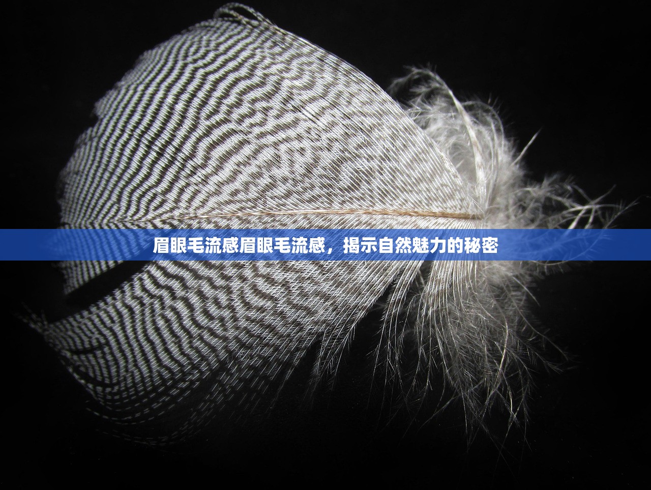 眉眼毛流感眉眼毛流感，揭示自然魅力的秘密  第1张