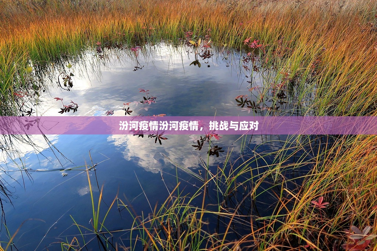 汾河疫情汾河疫情,挑战与应对 第1张 汾河疫情汾河疫情,挑战与应对 第1张