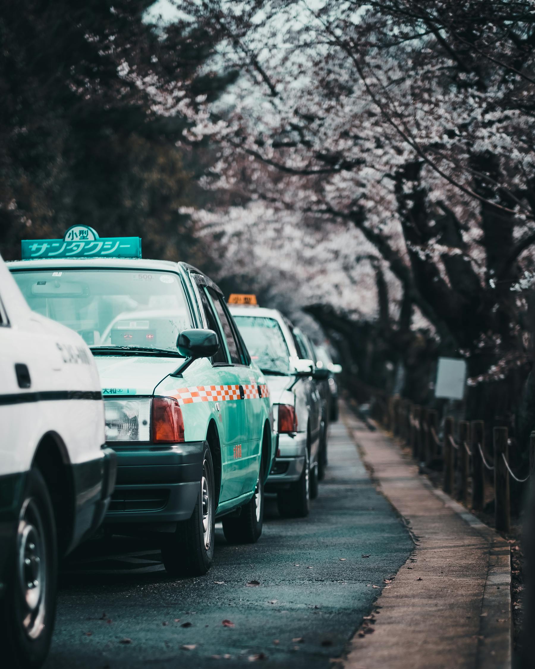 交通汽车限号6月30日交通汽车限号政策,6月30日实施的影响与探讨 第2张 交通汽车限号6月30日交通汽车限号政策,6月30日实施的影响与探讨 第2张