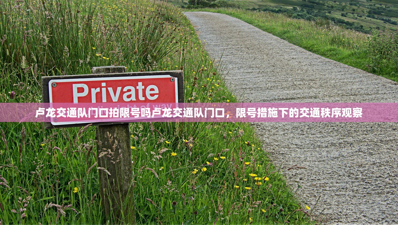 卢龙交通队门口拍限号吗卢龙交通队门口，限号措施下的交通秩序观察  第1张