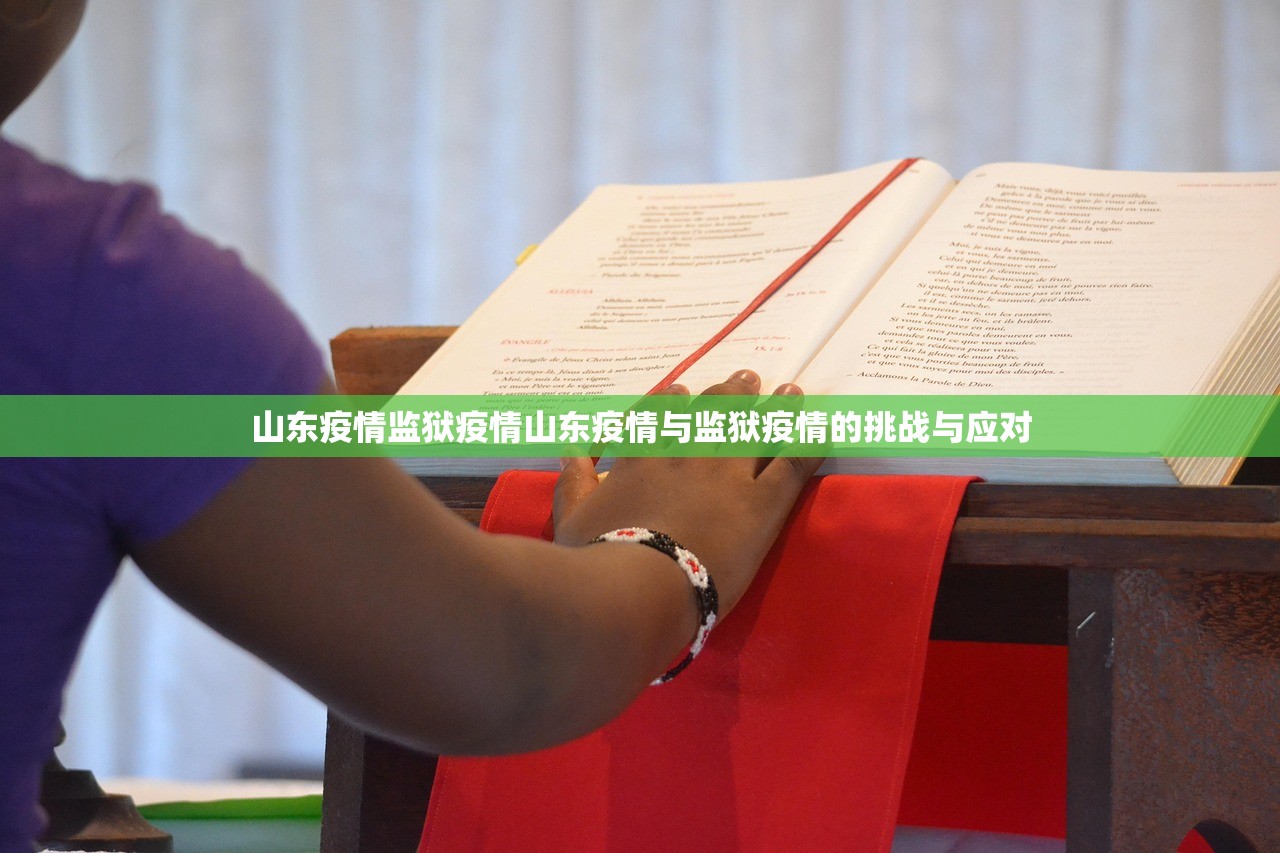 山东疫情监狱疫情山东疫情与监狱疫情的挑战与应对  第1张