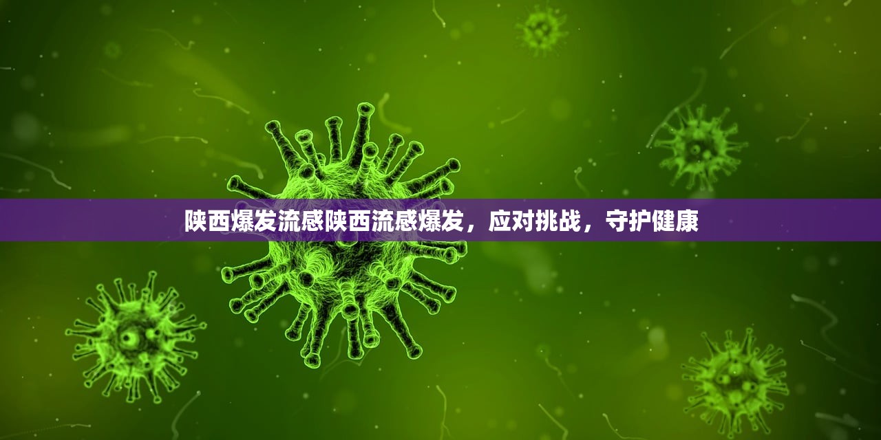 陕西爆发流感陕西流感爆发，应对挑战，守护健康  第1张