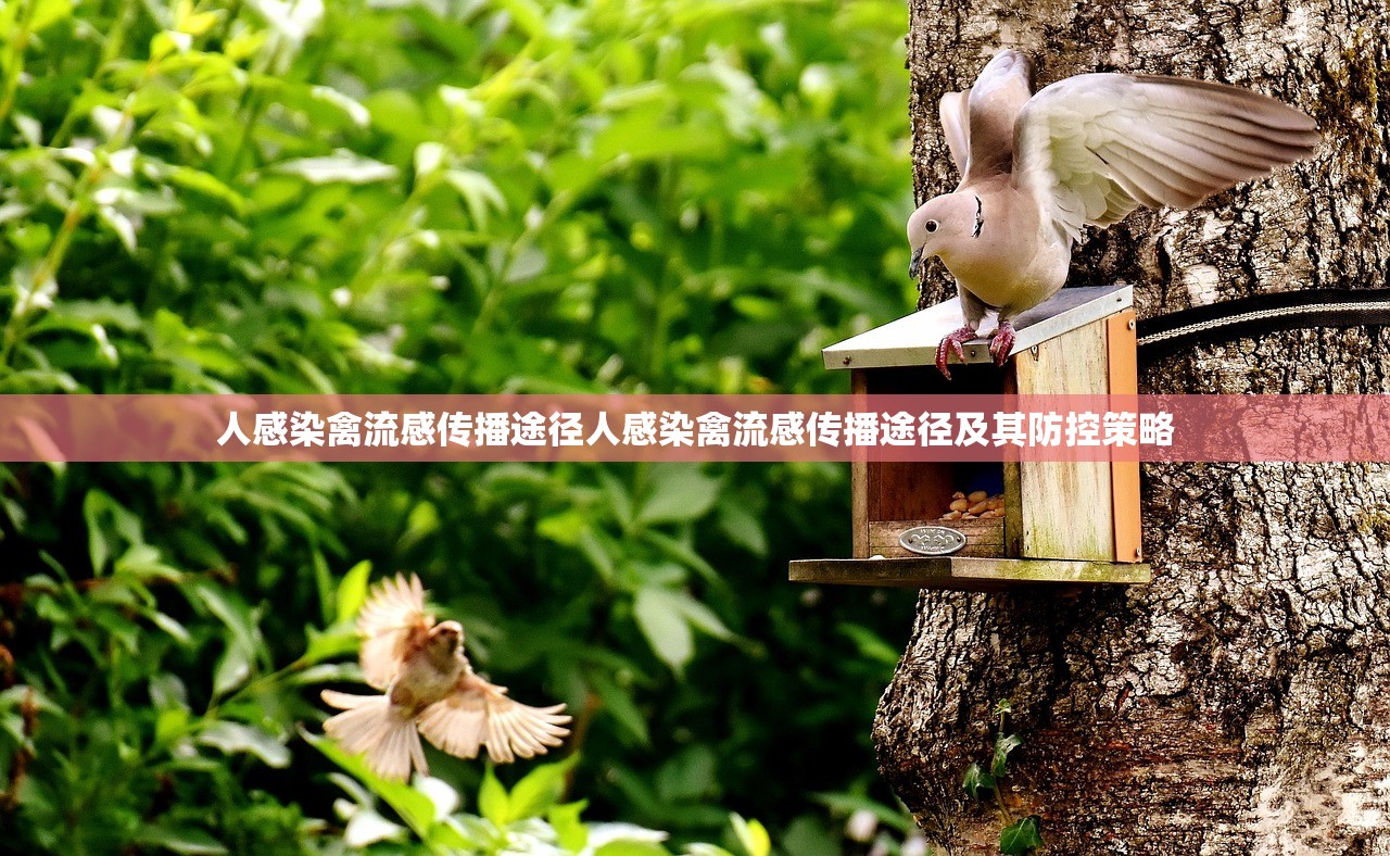 人感染禽流感传播途径人感染禽流感传播途径及其防控策略 第1张 人感染禽流感传播途径人感染禽流感传播途径及其防控策略 第1张